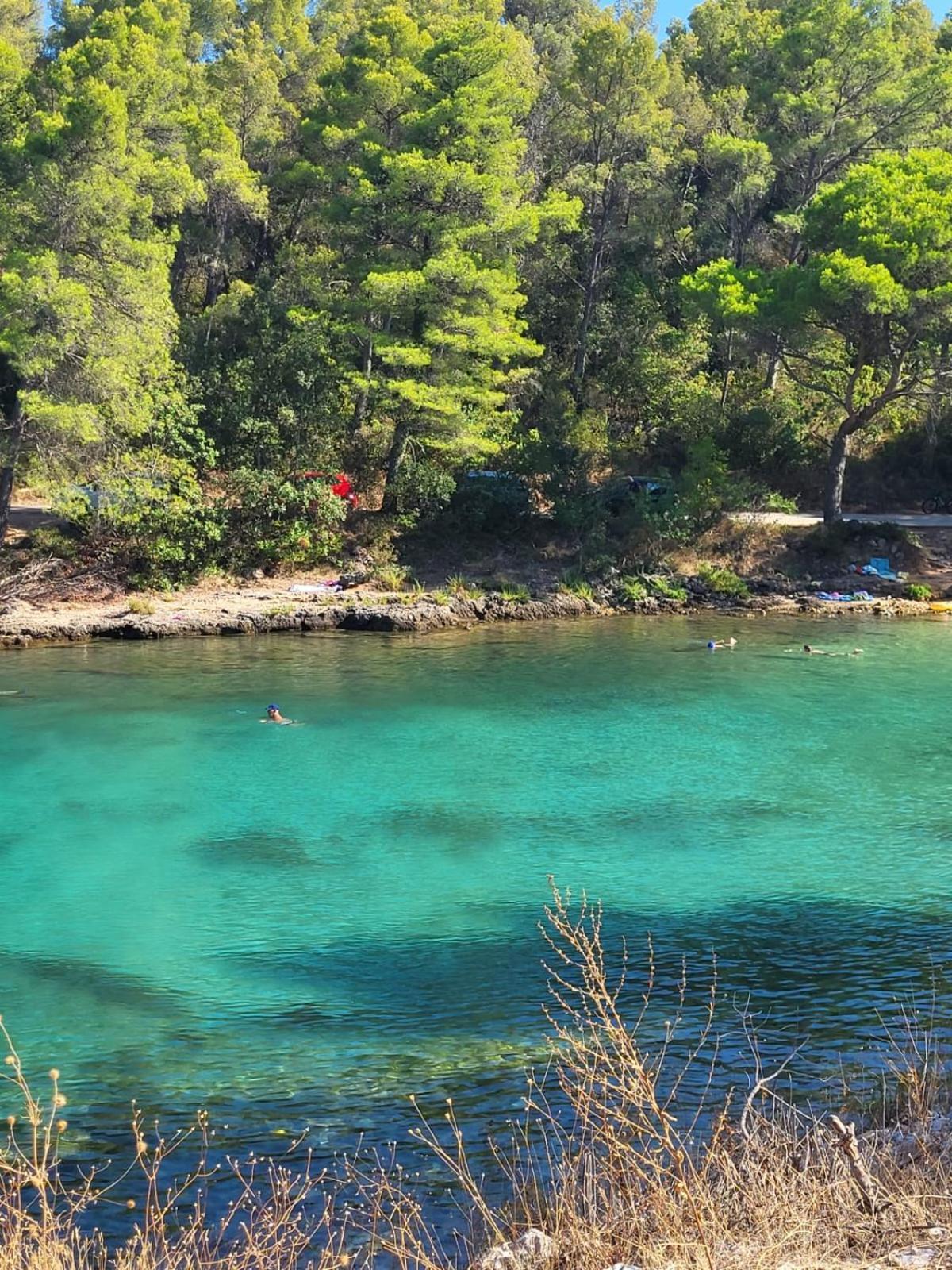Sperka * Jelsa (Hvar)
